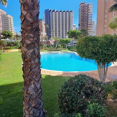 Adelfas - Fincas Arena Benidorm Exterior photo